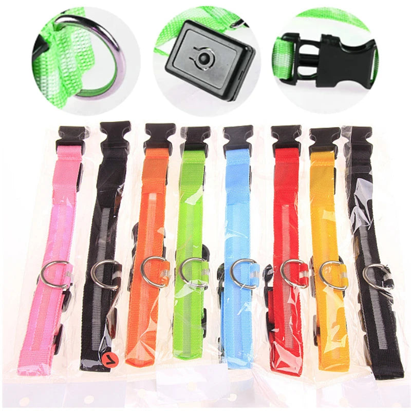 LED Safety Dog Collar – Rechargeable