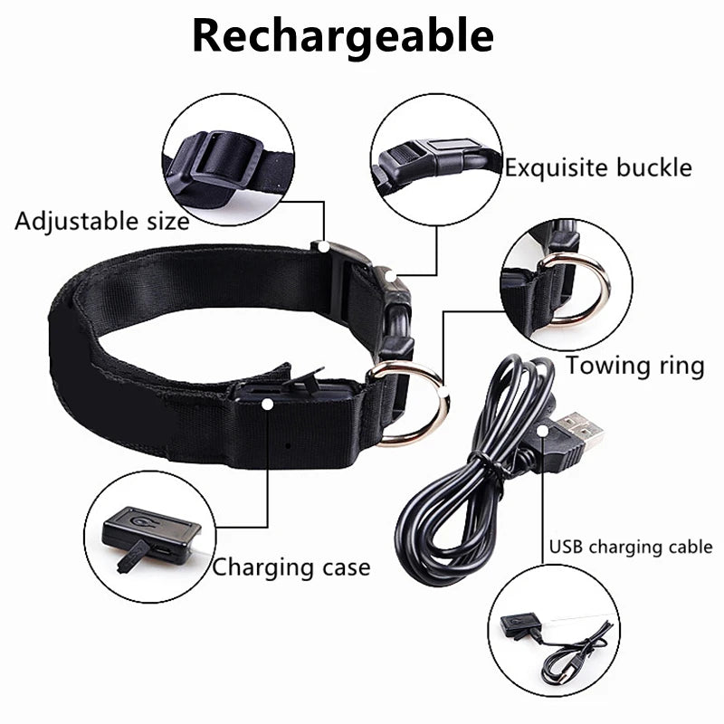 LED Safety Dog Collar – Rechargeable
