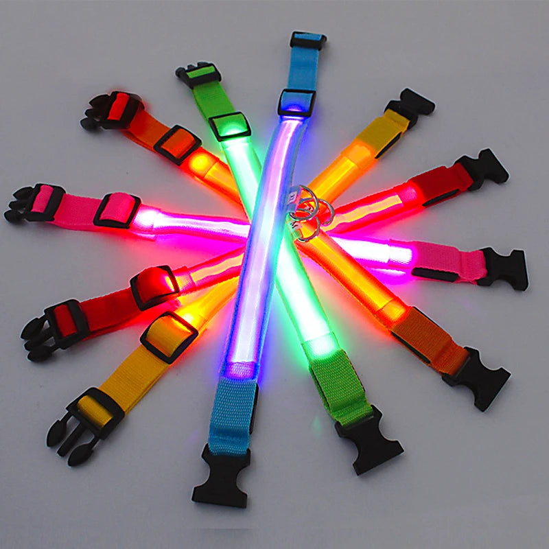 LED Safety Dog Collar – Rechargeable