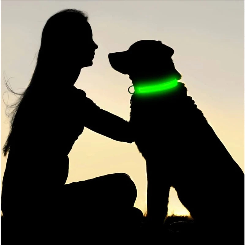 LED Safety Dog Collar – Rechargeable