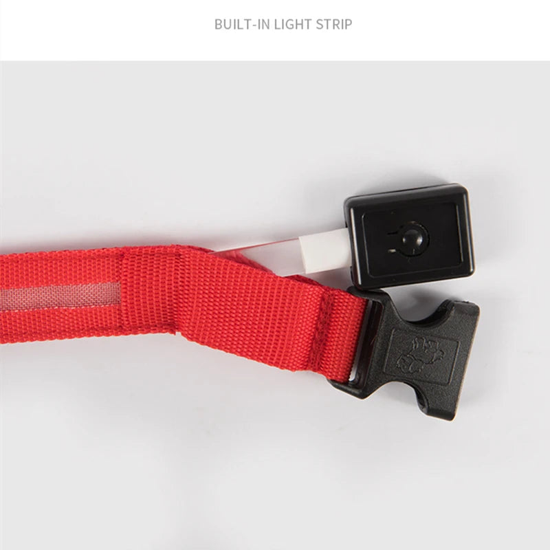 LED Safety Dog Collar – Rechargeable