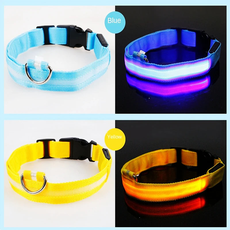 LED Safety Dog Collar – Rechargeable