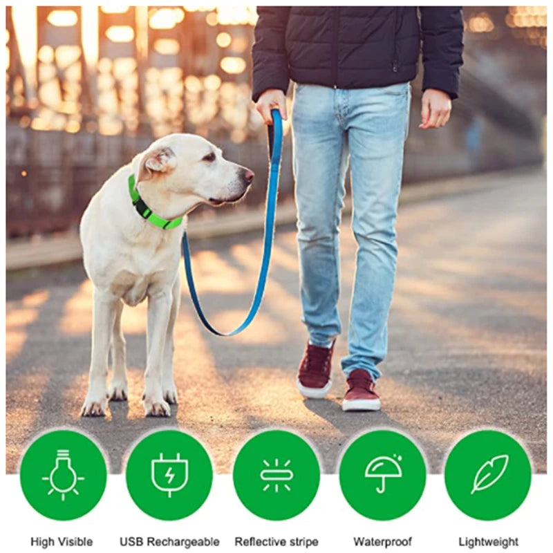 LED Safety Dog Collar – Rechargeable