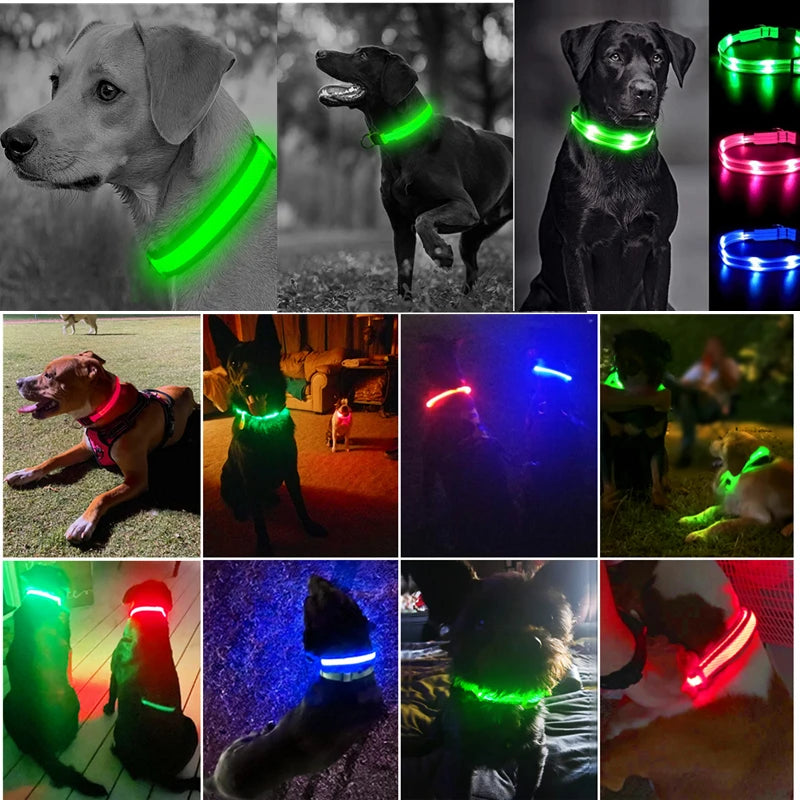 LED Safety Dog Collar – Rechargeable