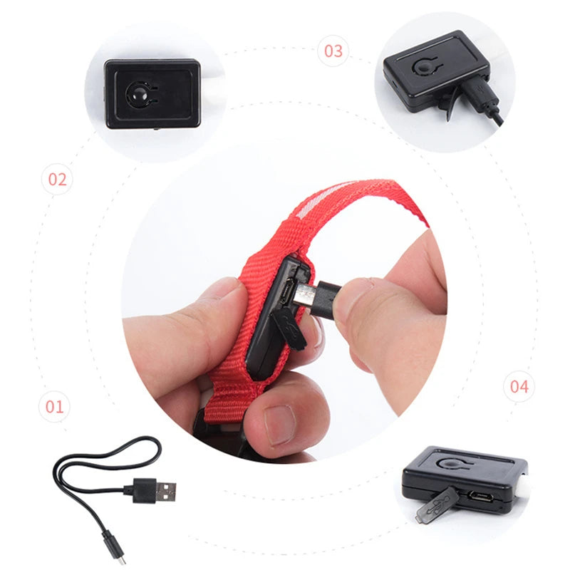LED Safety Dog Collar – Rechargeable