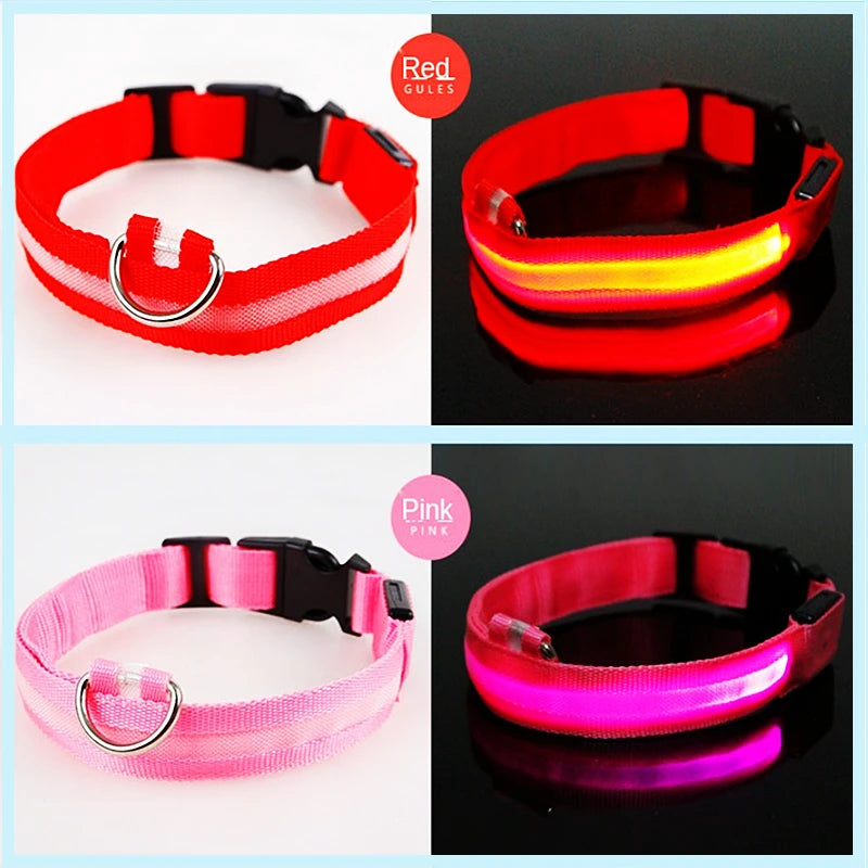LED Safety Dog Collar – Rechargeable