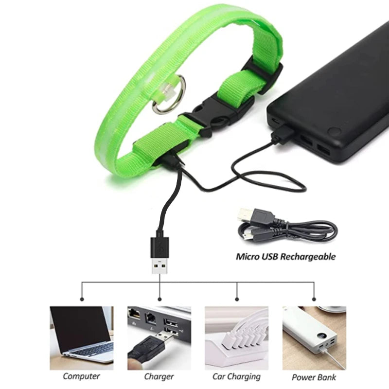 LED Safety Dog Collar – Rechargeable