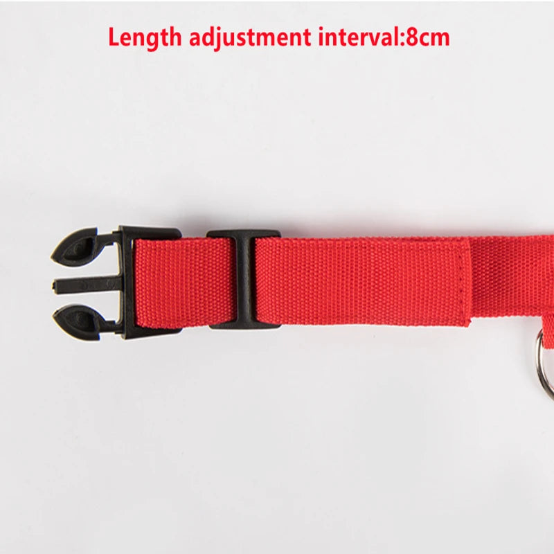 LED Safety Dog Collar – Rechargeable