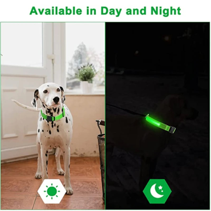 LED Safety Dog Collar – Rechargeable