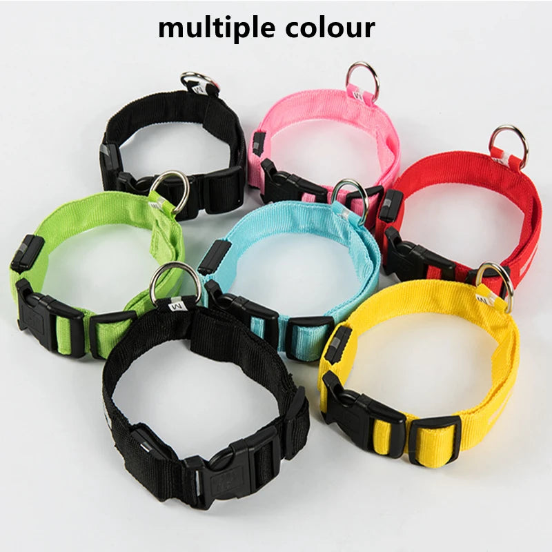 LED Safety Dog Collar – Rechargeable
