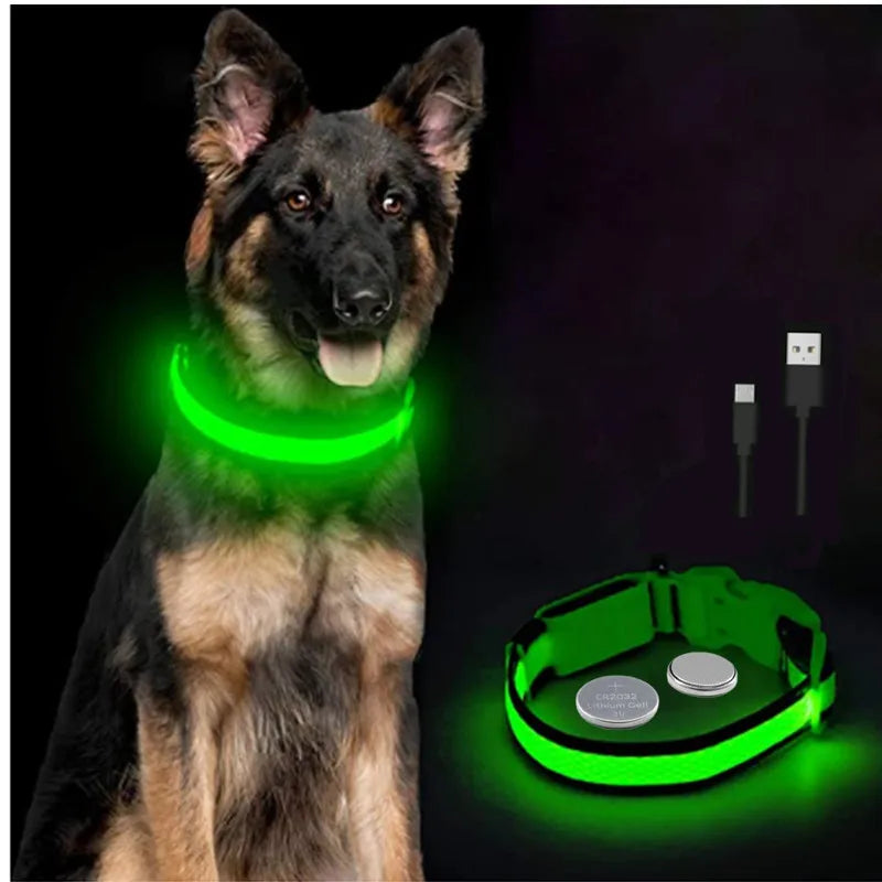 LED Safety Dog Collar – Rechargeable