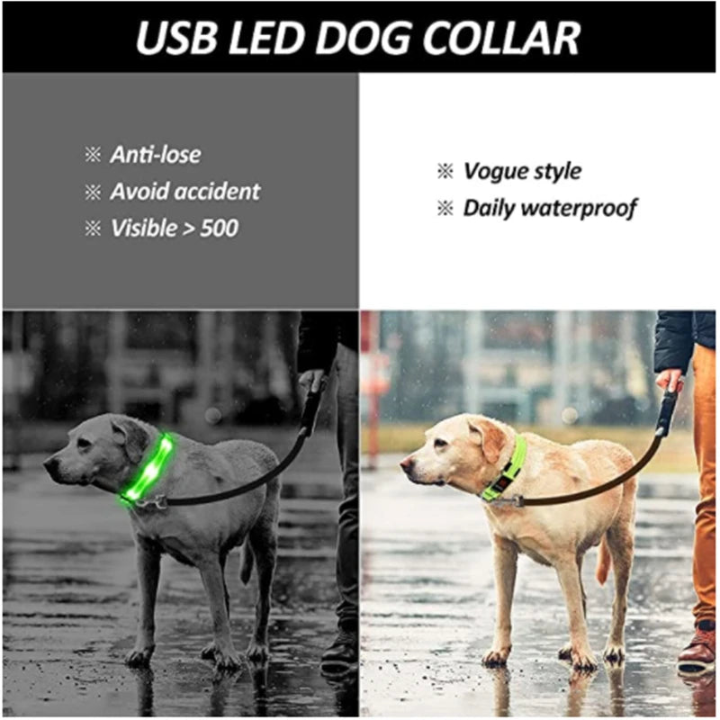 LED Safety Dog Collar – Rechargeable