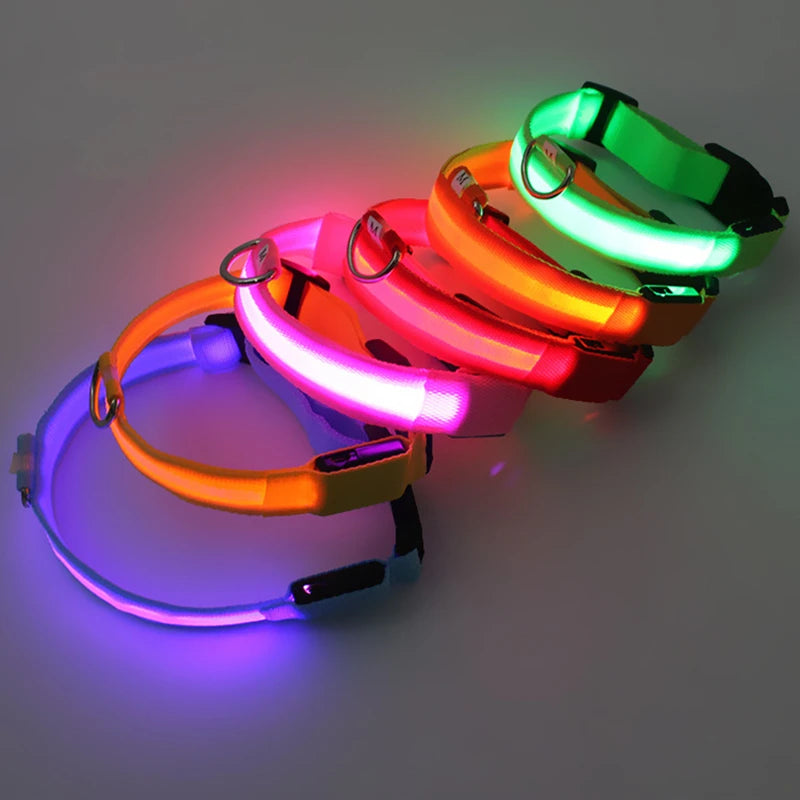 LED Safety Dog Collar – Rechargeable