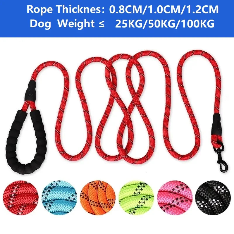 Heavy-Duty Reinforced Dog Leash – Multi-Length