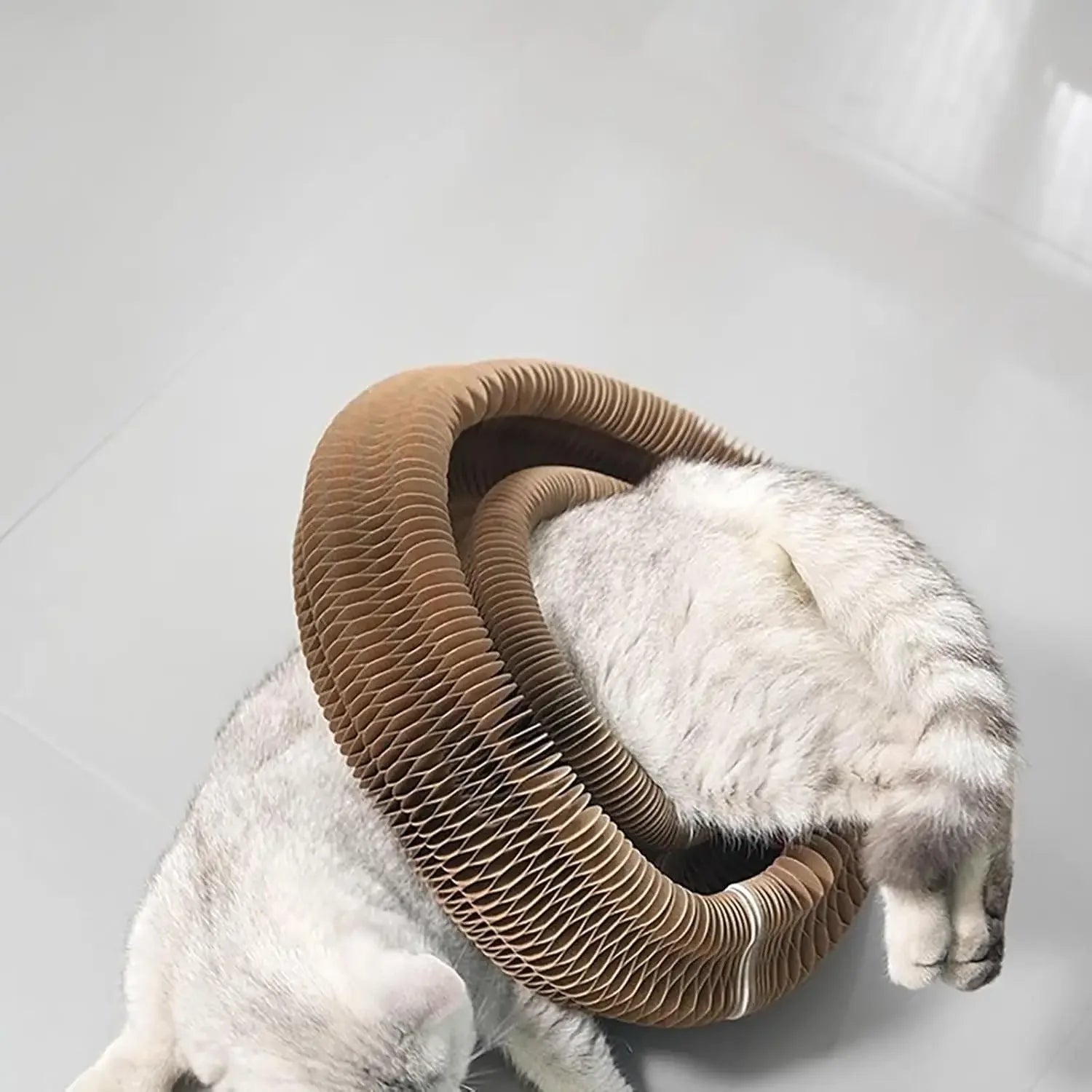 Spring Accordion Cat Scratch & Play Toy