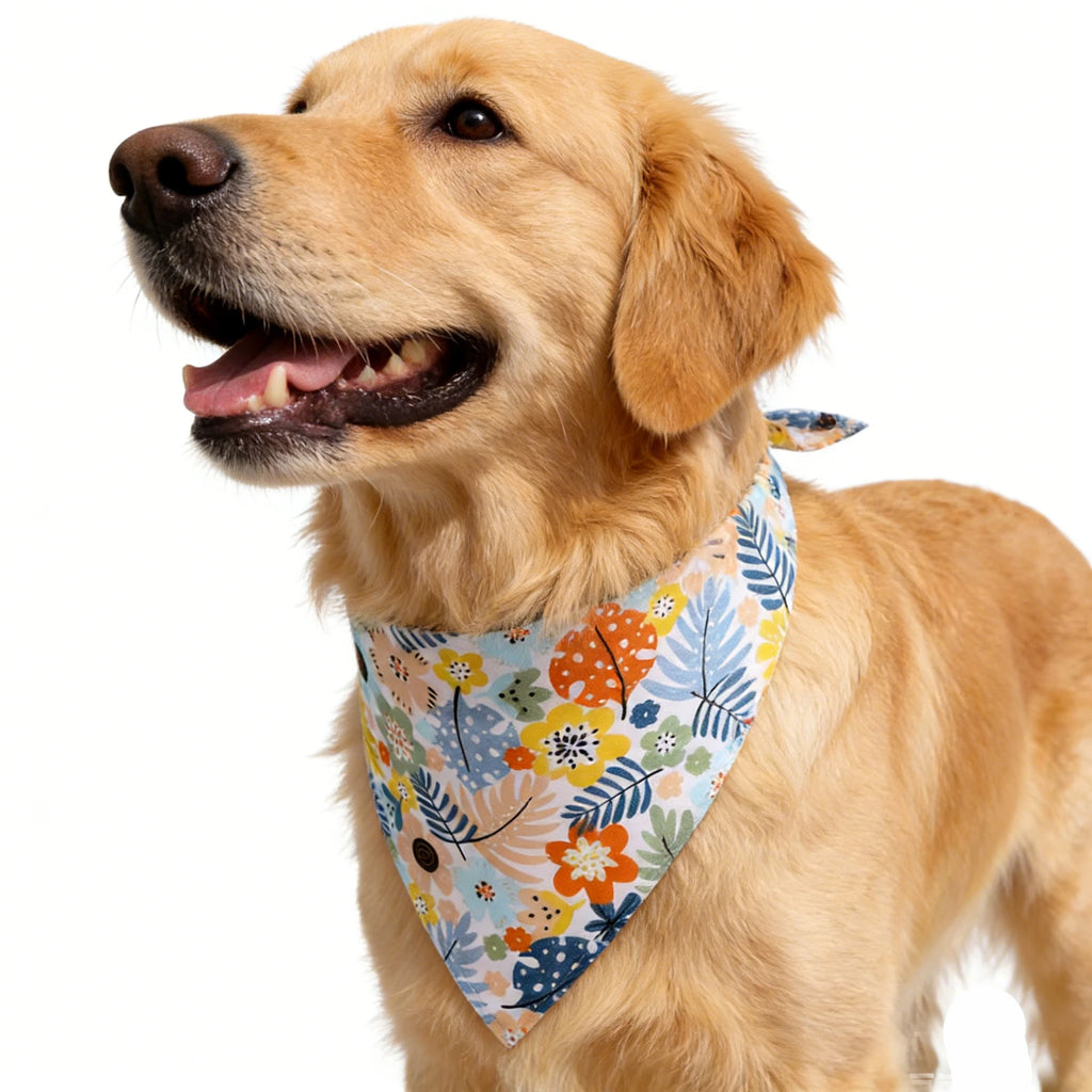 Summer Fruit Pet Bandana