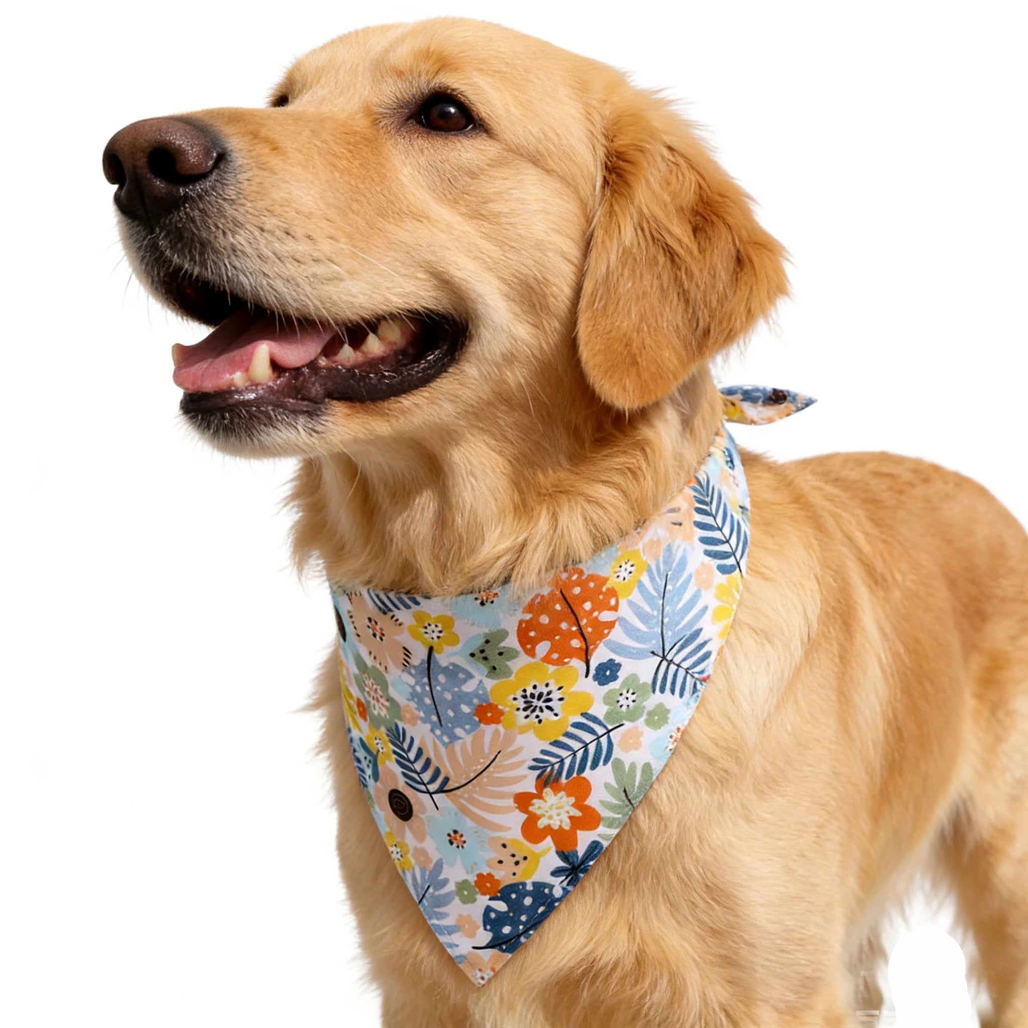 Summer Fruit Pet Bandana