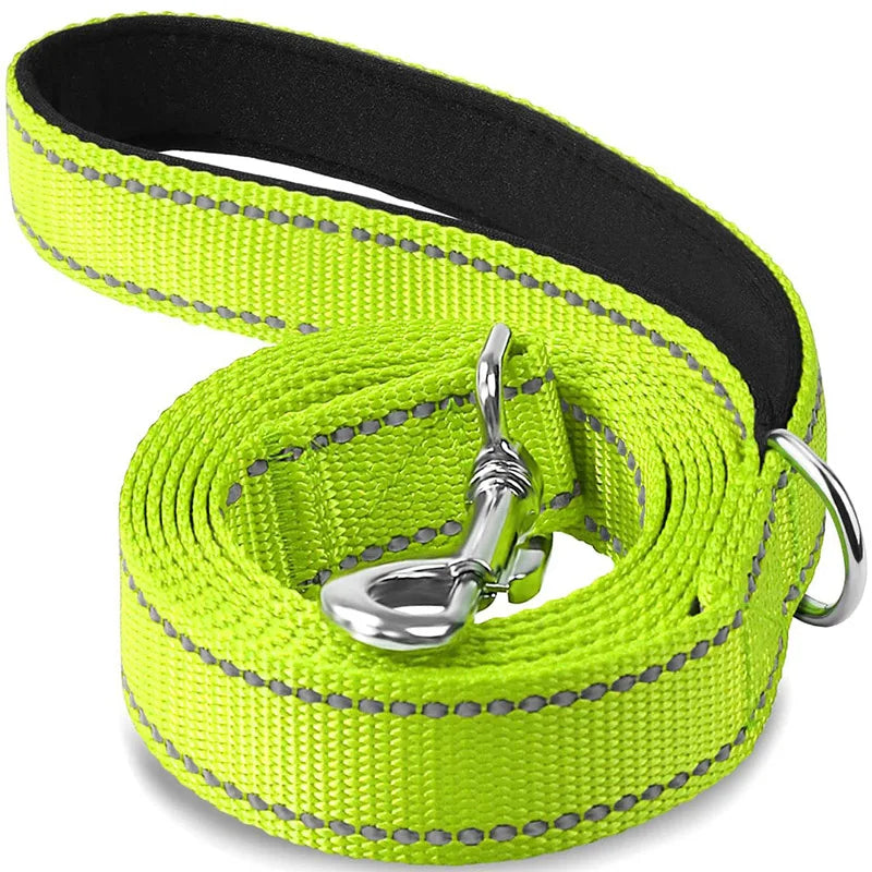 Reflective Night Walk Training Leash