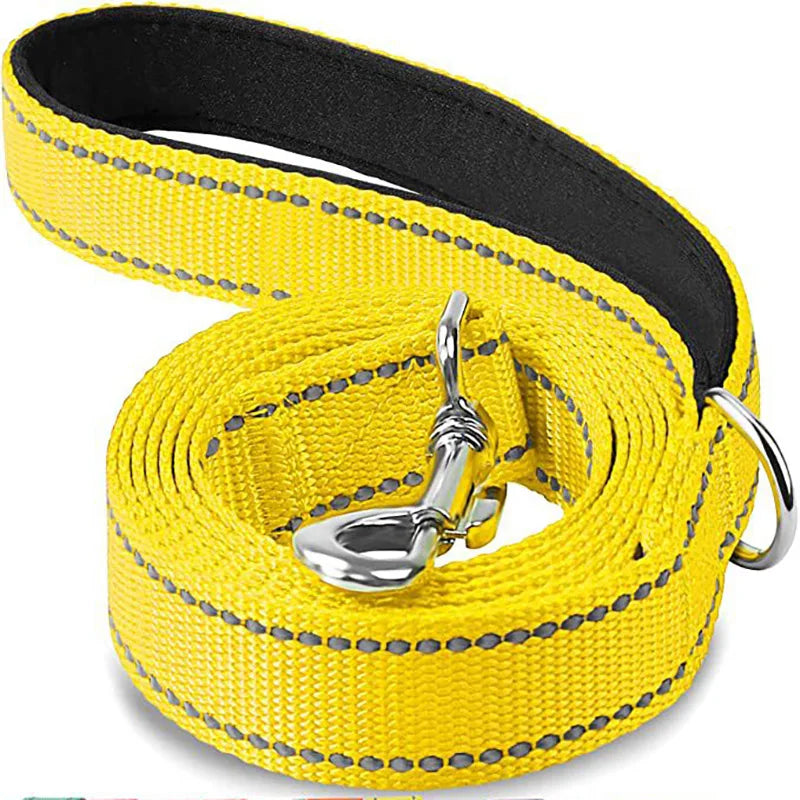 Reflective Night Walk Training Leash