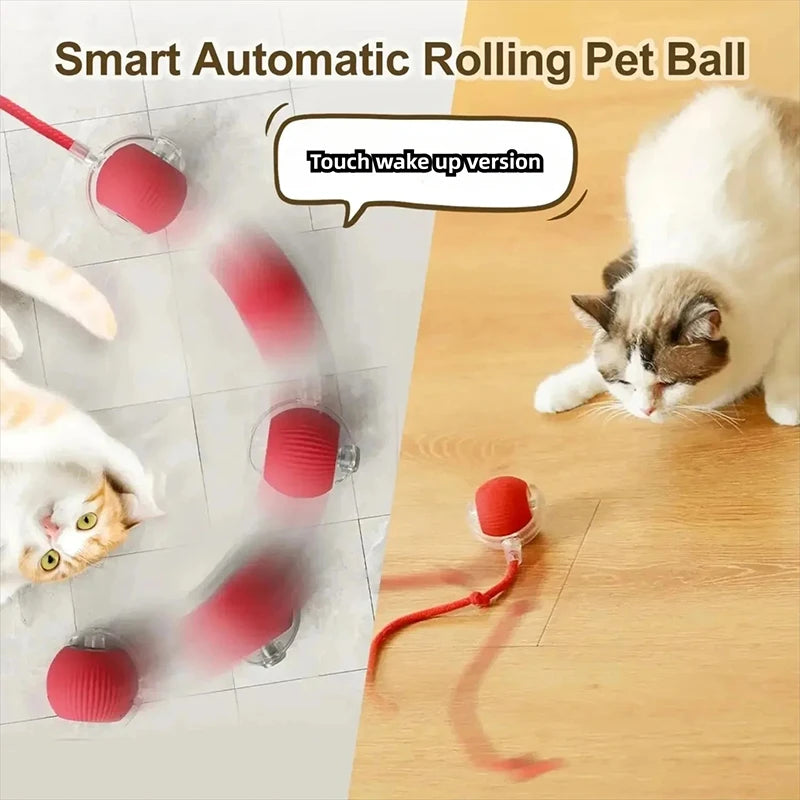 Smart Auto-Rolling Cat Ball – Rechargeable