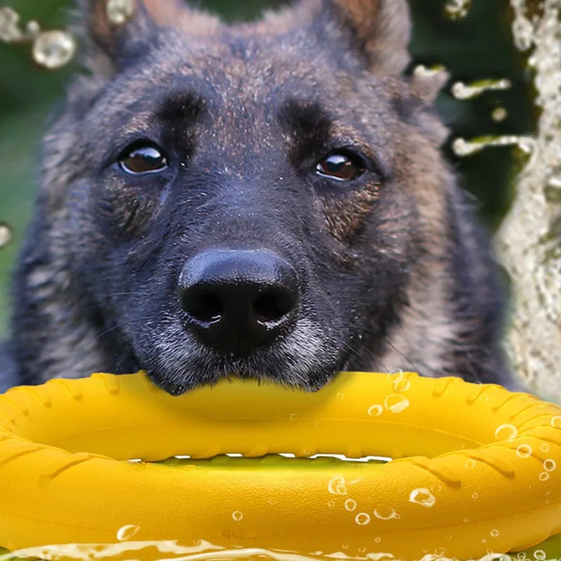Durable Rope Ring Toy – Teeth Cleaning