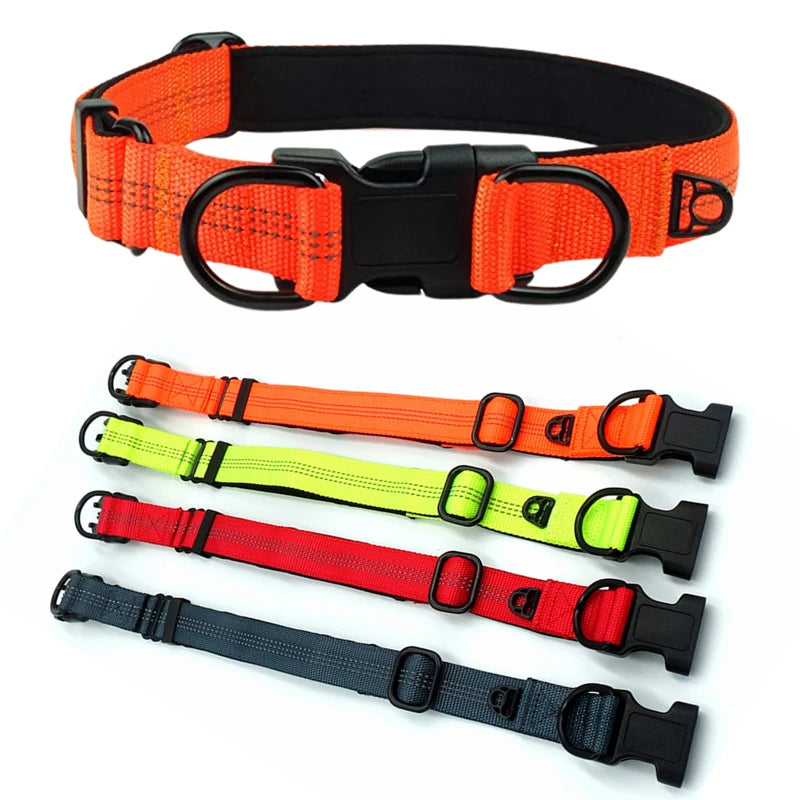 LED Safety Dog Collar – Rechargeable