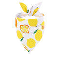 Summer Fruit Pet Bandana