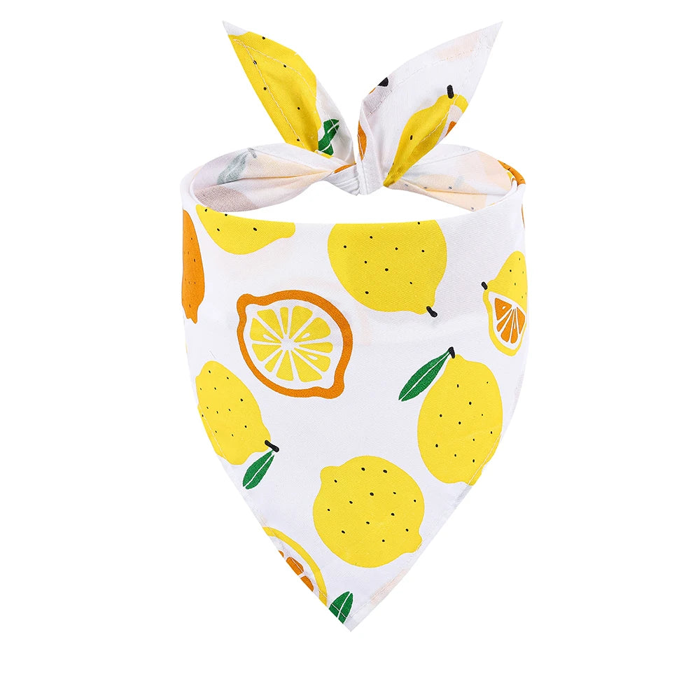 Summer Fruit Pet Bandana