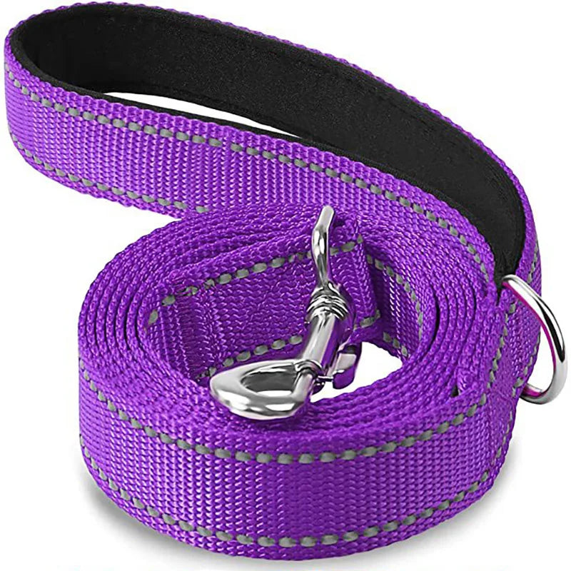 Reflective Night Walk Training Leash
