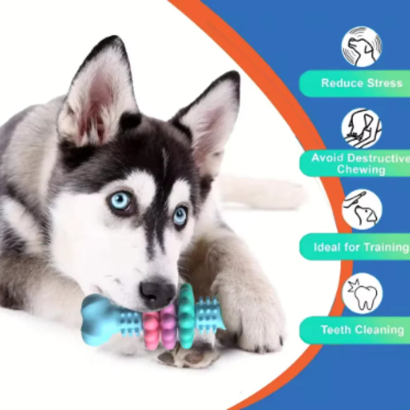 Chew & Treat Dental Stick – Bite Resistant