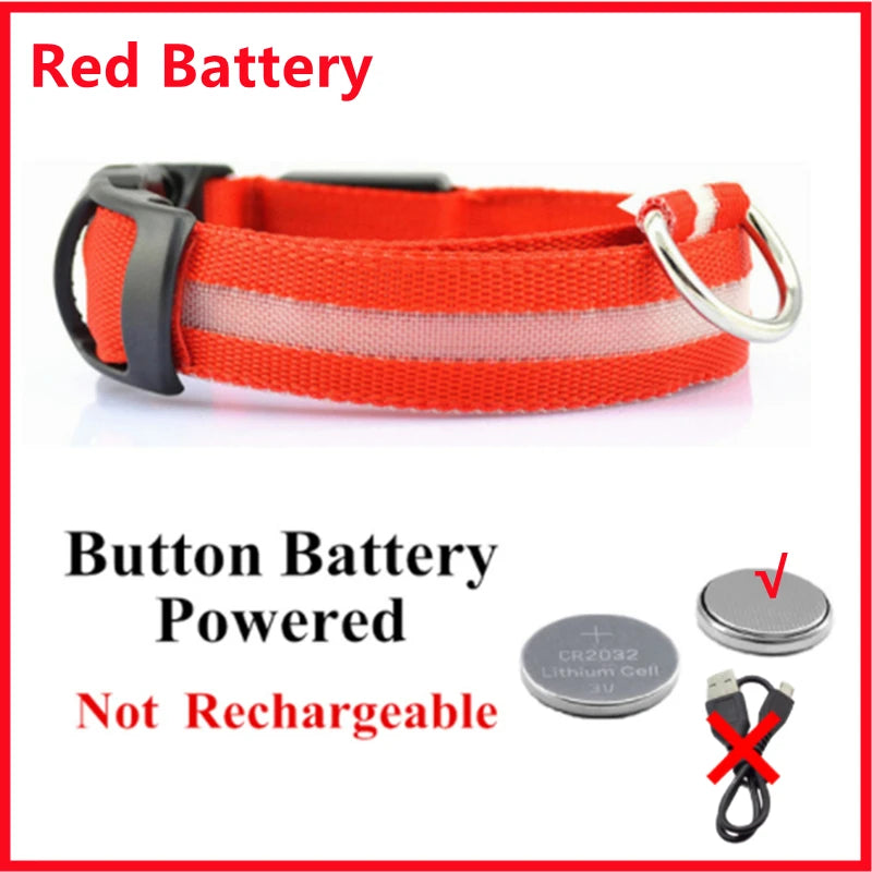 LED Safety Dog Collar – Rechargeable