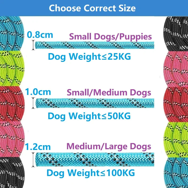 Heavy-Duty Reinforced Dog Leash – Multi-Length