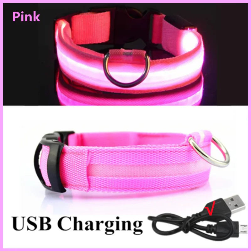 LED Safety Dog Collar – Rechargeable