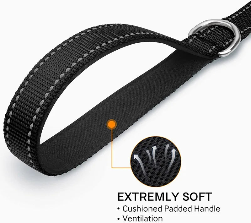 Reflective Night Walk Training Leash