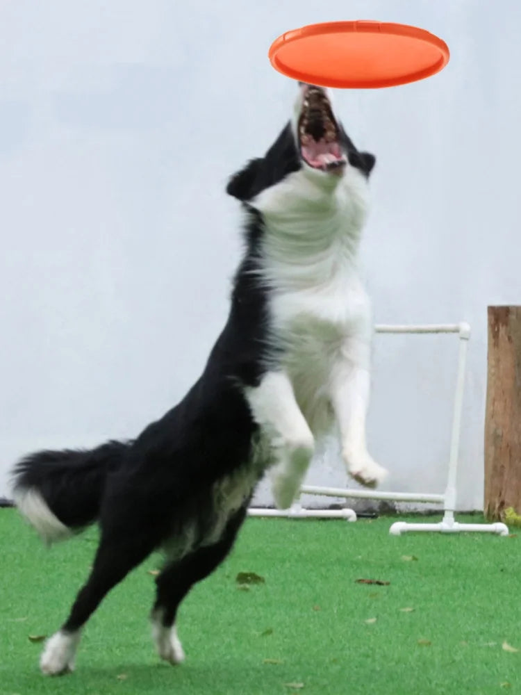 Silicone Molar Chew Toy – Dental Care