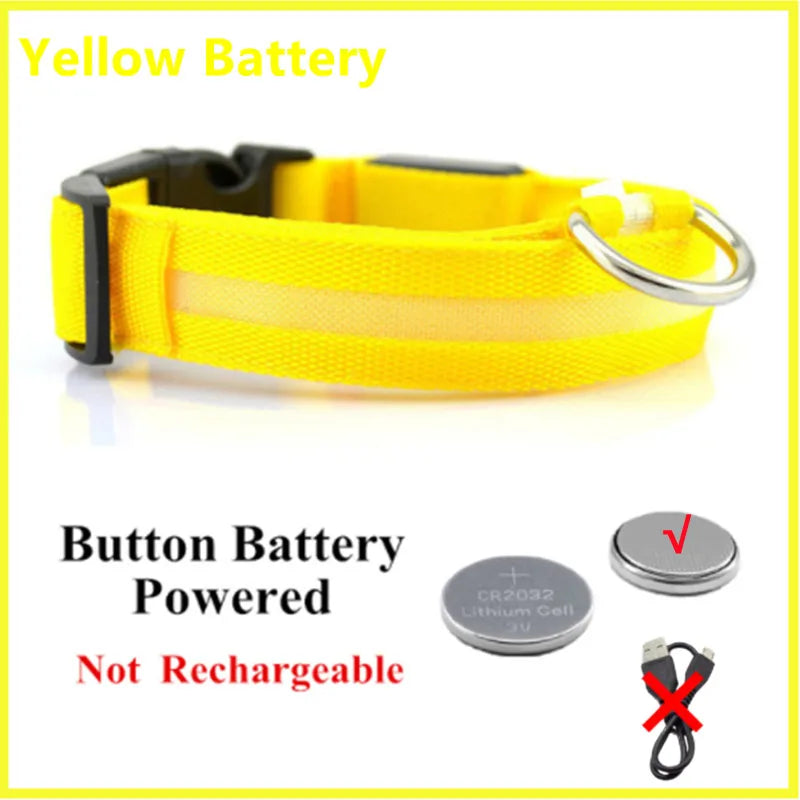LED Safety Dog Collar – Rechargeable