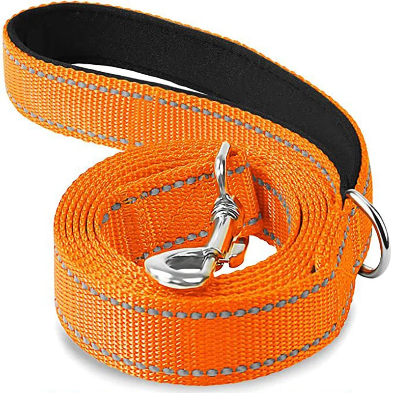 Reflective Night Walk Training Leash