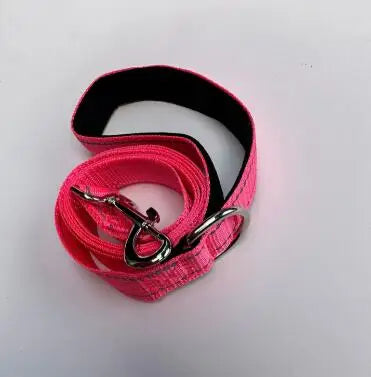 Reflective Night Walk Training Leash