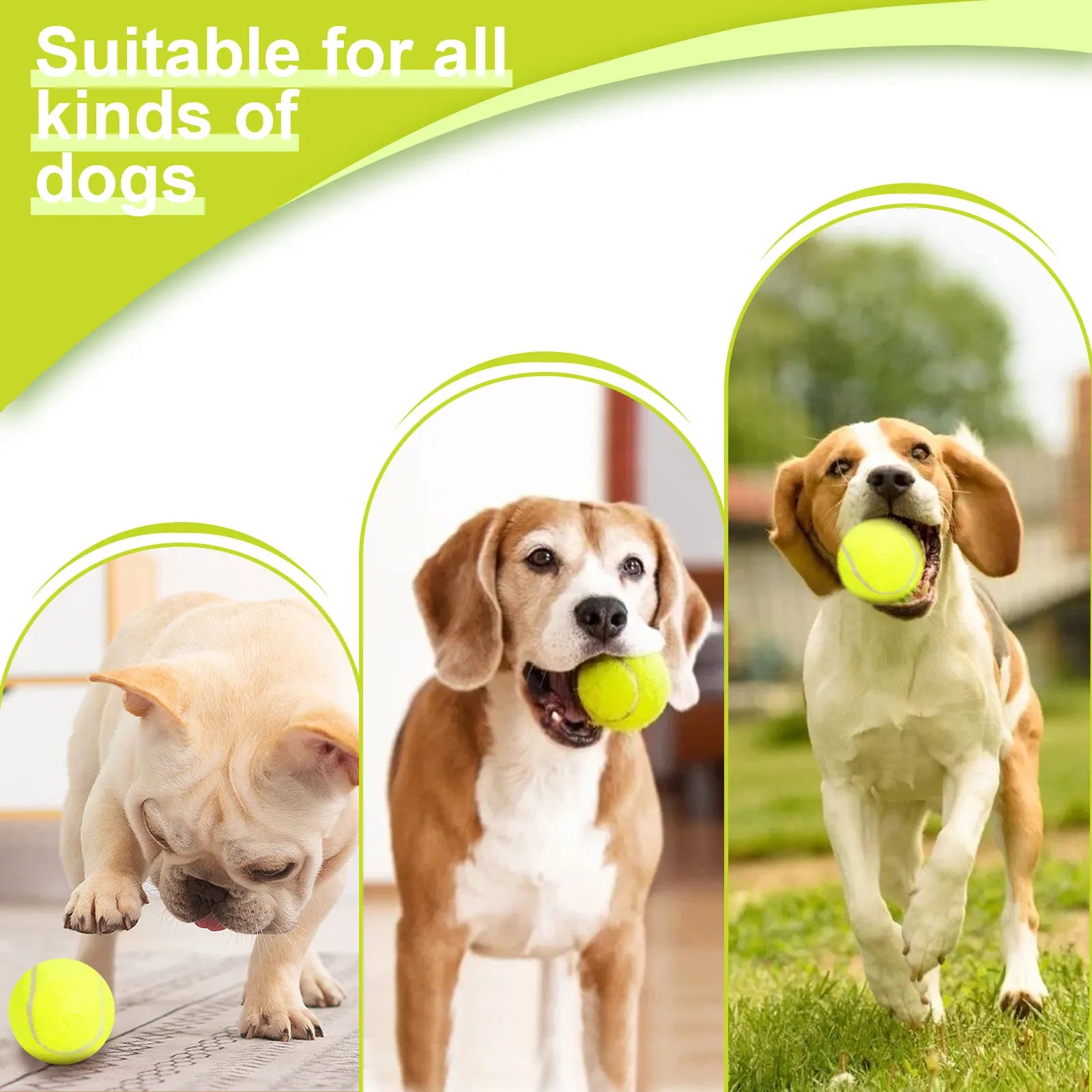 Automatic Tennis Ball Launcher for Dogs