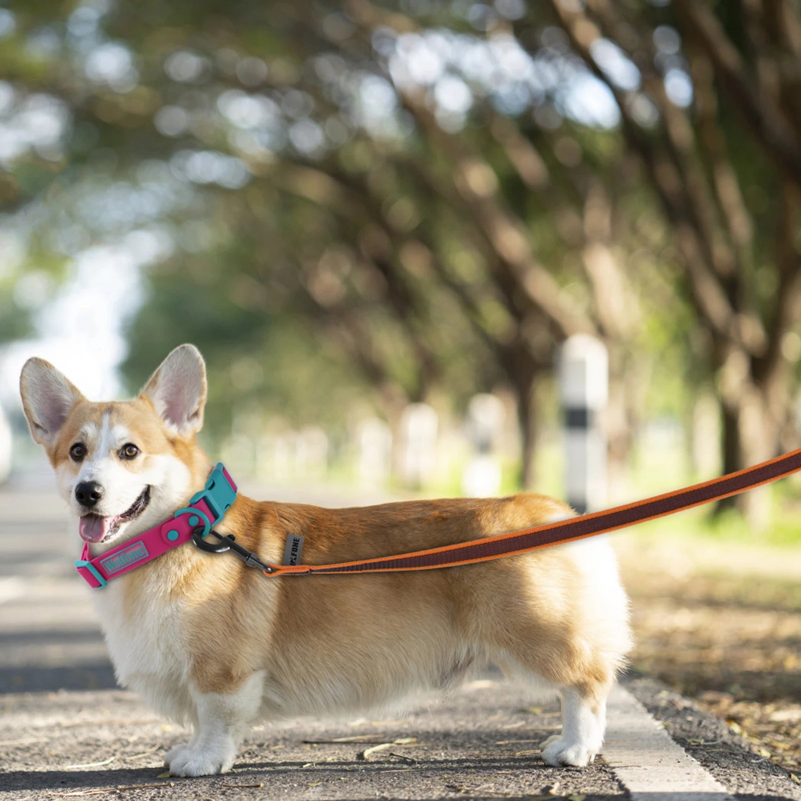 Premium Silk-Feel Training Lead – Multi-Length