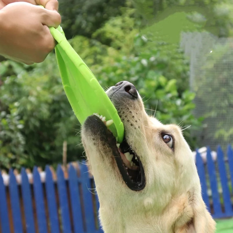 Silicone Molar Chew Toy – Dental Care