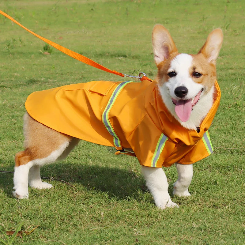Large Dog Raincoat – Full Coverage