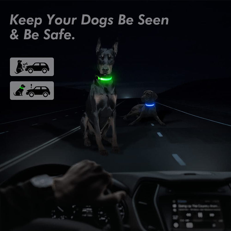 LED Safety Dog Collar – Rechargeable