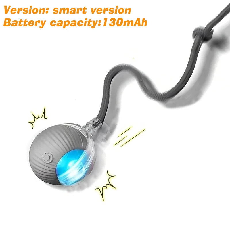 Smart Auto-Rolling Cat Ball – Rechargeable
