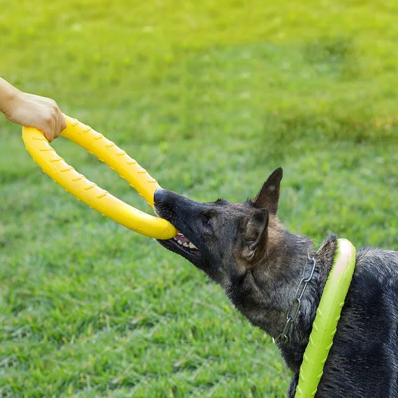 Durable Rope Ring Toy – Teeth Cleaning
