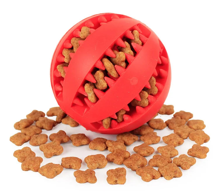 Slow Feeder Treat Ball – Anti-Gulp