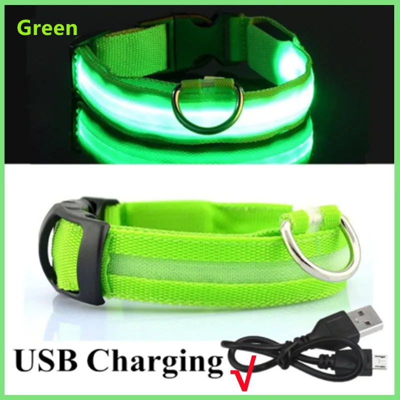 LED Safety Dog Collar – Rechargeable