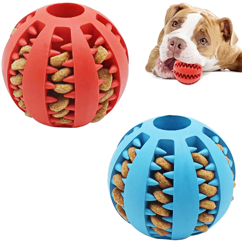Slow Feeder Treat Ball – Anti-Gulp