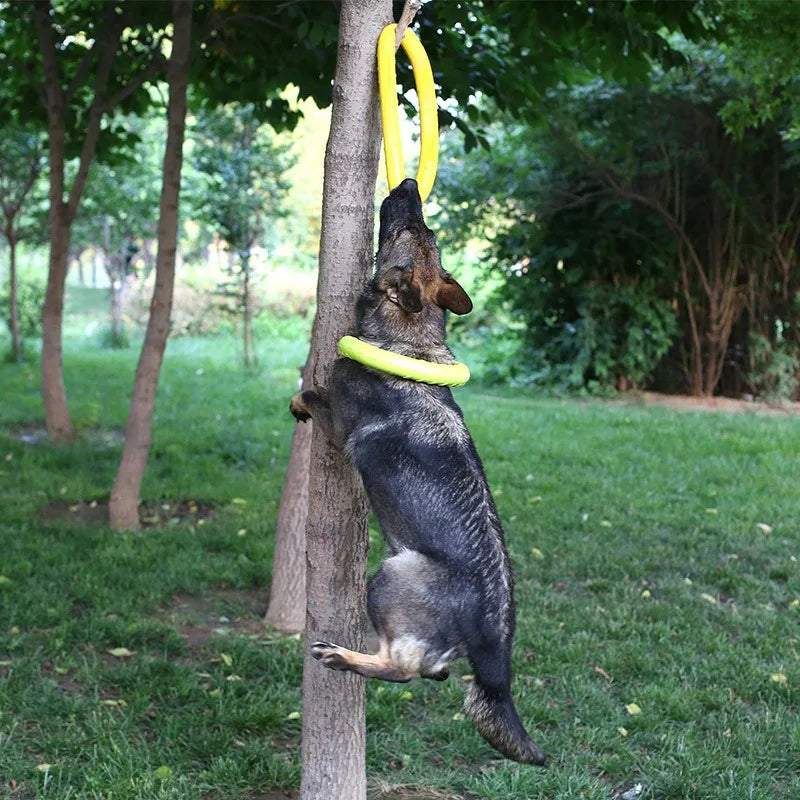 Durable Rope Ring Toy – Teeth Cleaning