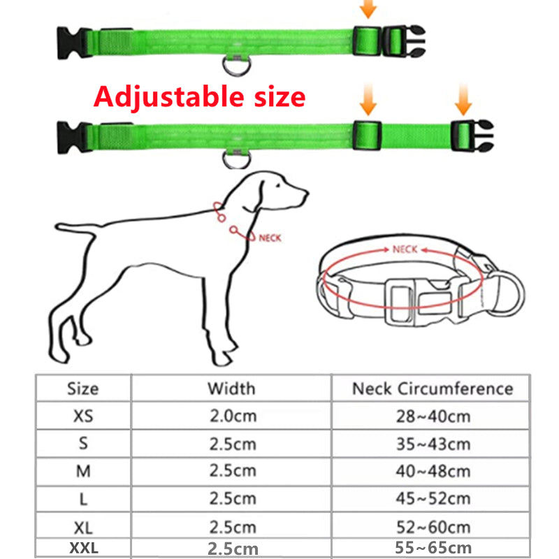 LED Safety Dog Collar – Rechargeable